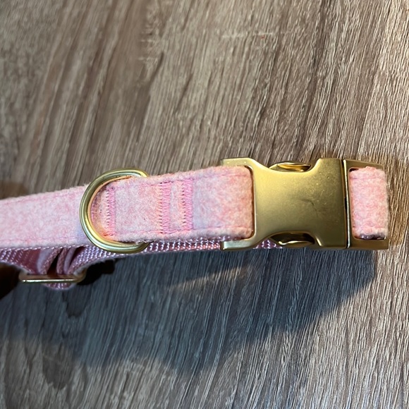 Clip on dog collar - Picture 2 of 7